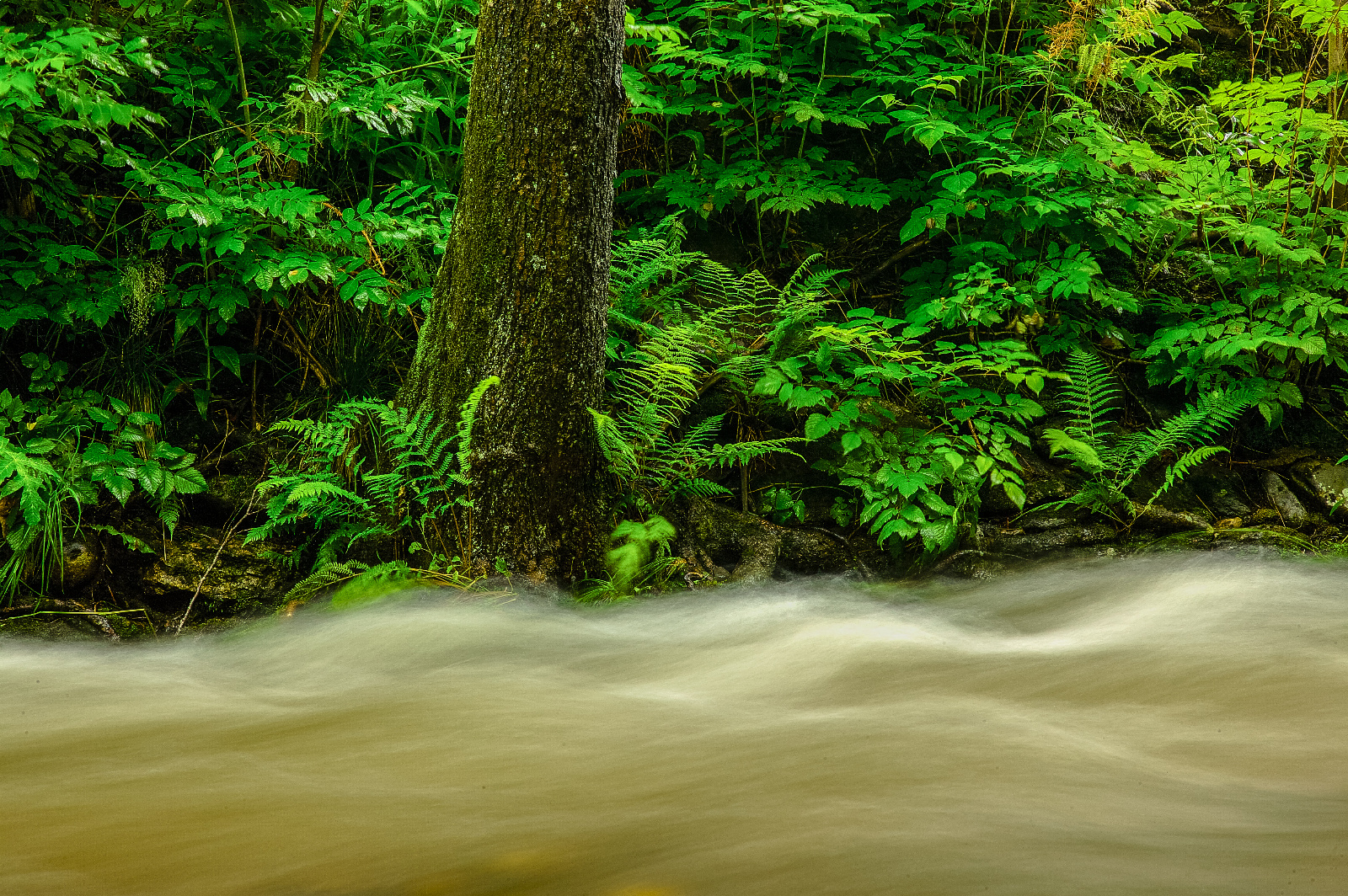 20DU3049 (16 von 153)   Arbeitskopie 2